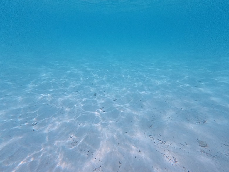 入住The Standard Maldives、碼頭邊珊瑚礁浮潛、出海賞海豚、環礁潟湖體驗 — 赤道三國文化休閒行旅 之 馬爾地夫篇 第一回 潟湖泳池水上屋(Lagoon Overwater Pool Villa)