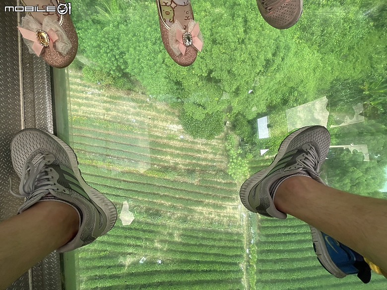 點我看大圖 探索高空與風景的交織—貓空水晶車廂之旅
