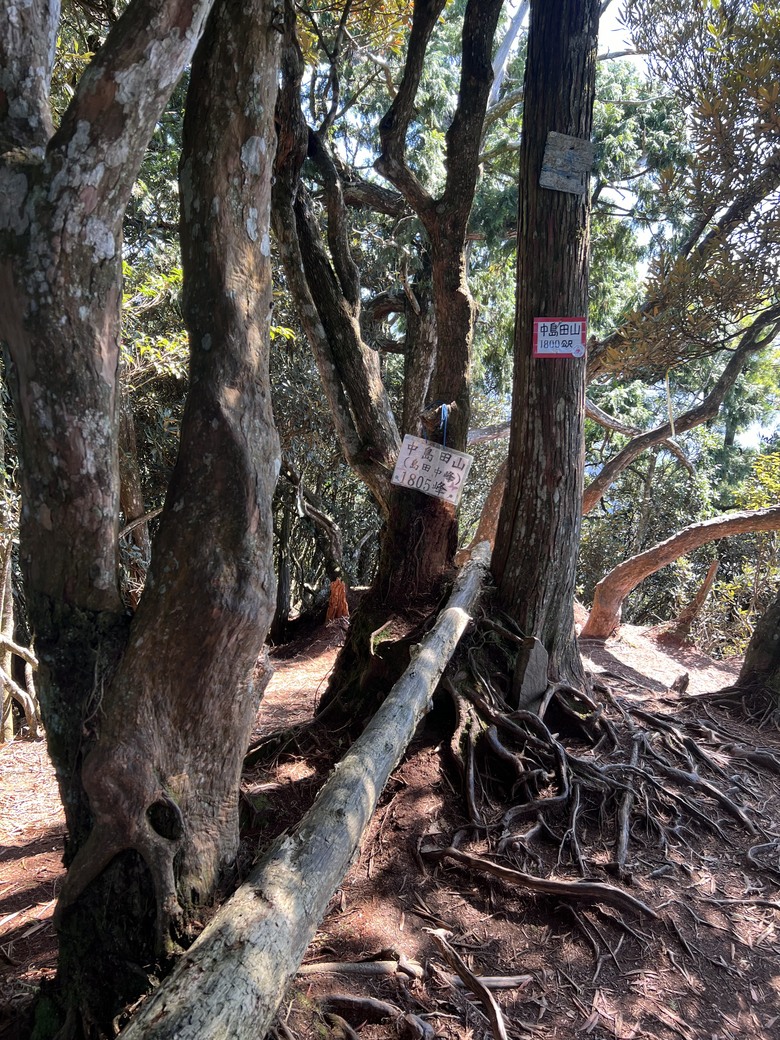 有點累又不會太累的高島縱走