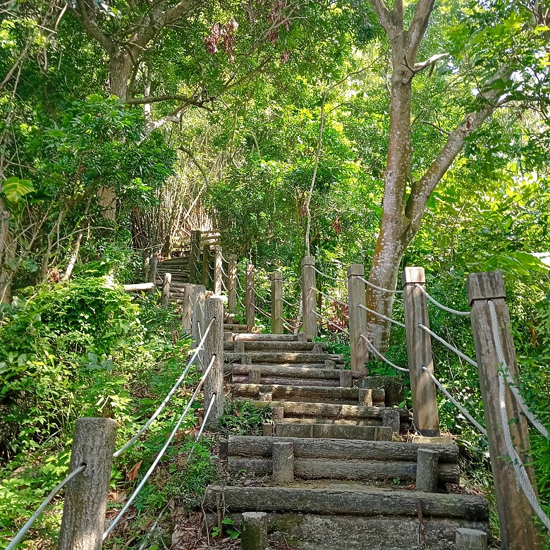 潭子新田登山步道能順便踩點旁邊的小百岳「聚興山」，生意盎然適合全家大小的綠色步道，帶你全部走一趟