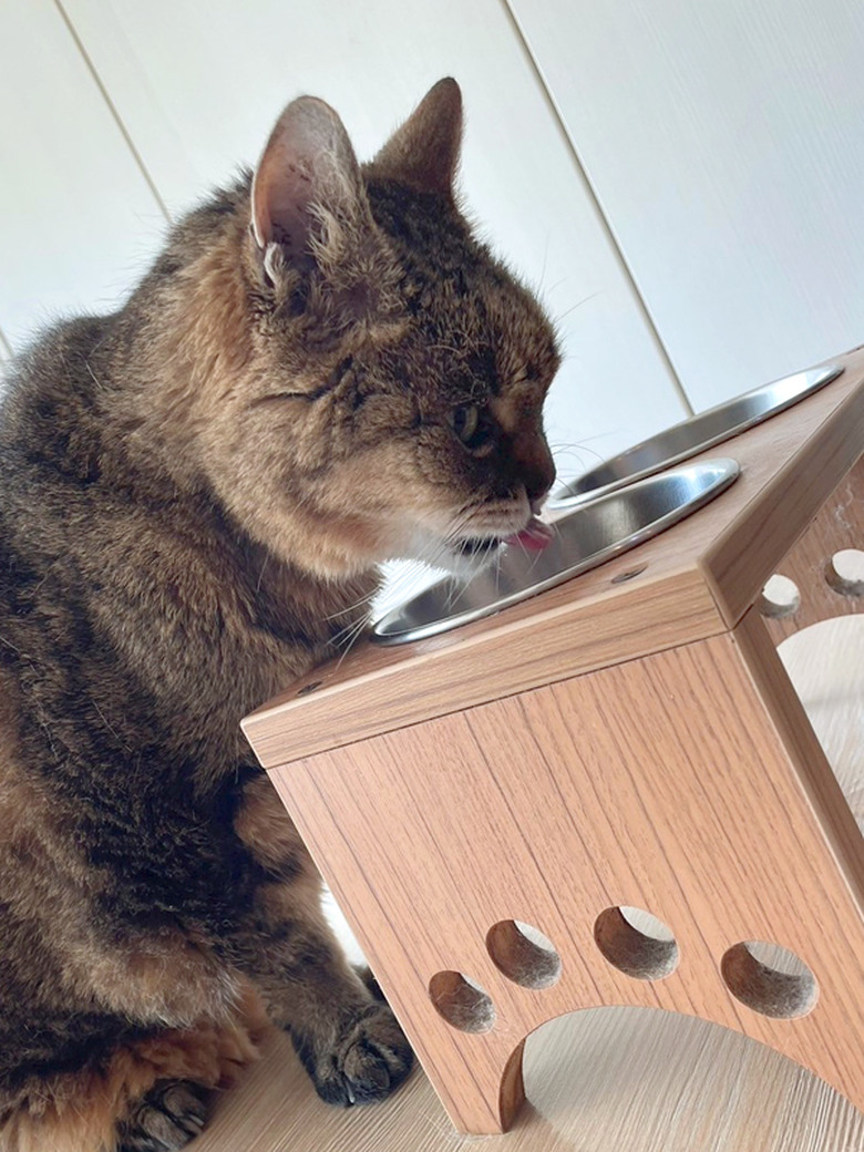 家裡愛吃飼料的主子