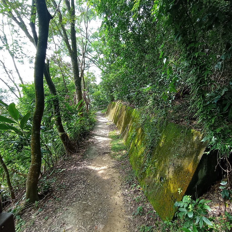 潭子新田登山步道能順便踩點旁邊的小百岳「聚興山」，生意盎然適合全家大小的綠色步道，帶你全部走一趟