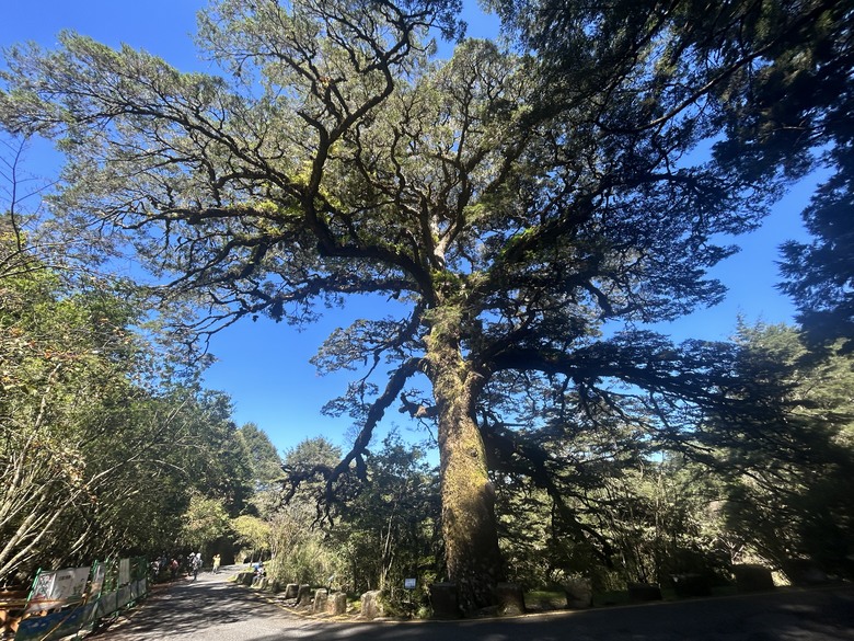 登麟趾山 朝聖台灣之巔玉山