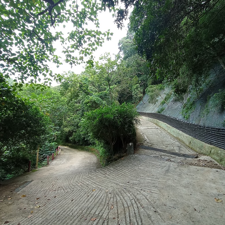 潭子新田登山步道能順便踩點旁邊的小百岳「聚興山」，生意盎然適合全家大小的綠色步道，帶你全部走一趟