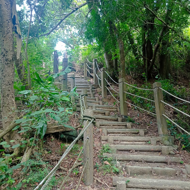 潭子新田登山步道能順便踩點旁邊的小百岳「聚興山」，生意盎然適合全家大小的綠色步道，帶你全部走一趟