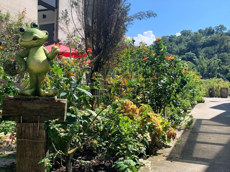 點我看大圖 七里香玫瑰森林花園,一年四季都有不同的風情,走走步道呼吸芬多精,春秋兩季有玫瑰花海可欣賞