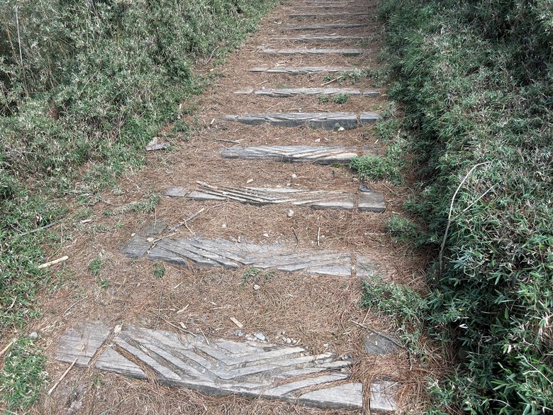 登麟趾山 朝聖台灣之巔玉山