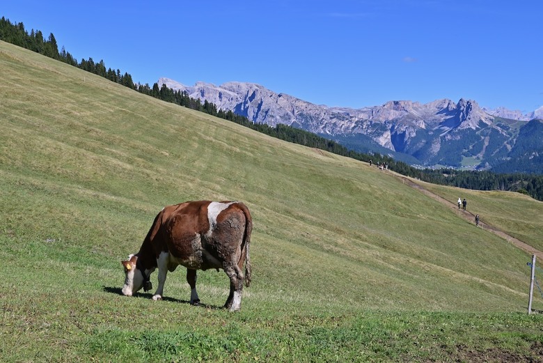 意大利🇮🇹多羅米提山Dolomites自遊行記