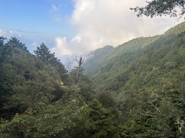 登麟趾山 朝聖台灣之巔玉山