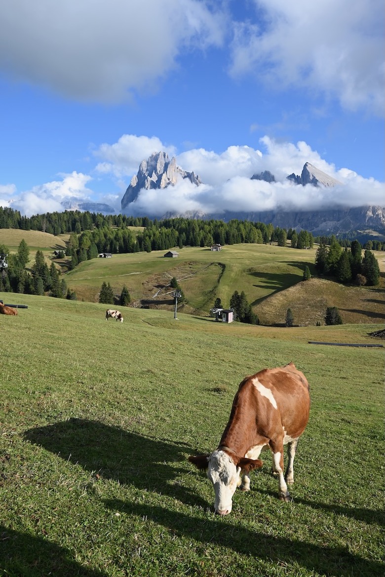 意大利🇮🇹多羅米提山Dolomites自遊行記