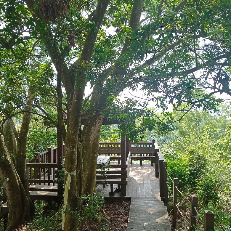 潭子新田登山步道能順便踩點旁邊的小百岳「聚興山」，生意盎然適合全家大小的綠色步道，帶你全部走一趟