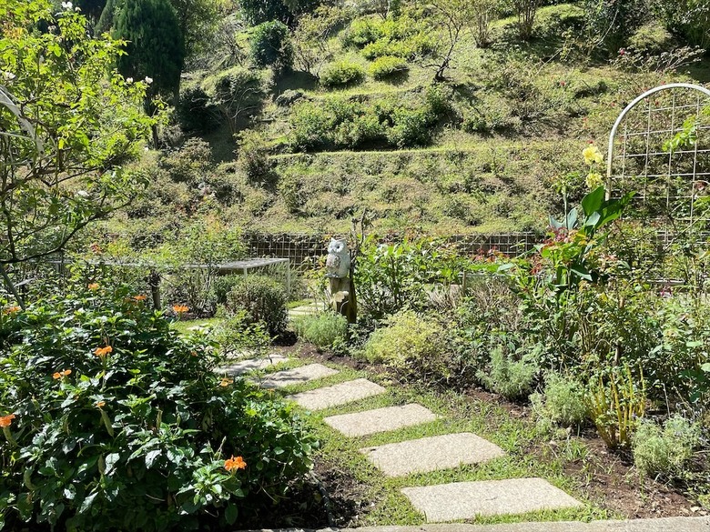 點我看大圖 七里香玫瑰森林花園,一年四季都有不同的風情,走走步道呼吸芬多精,春秋兩季有玫瑰花海可欣賞