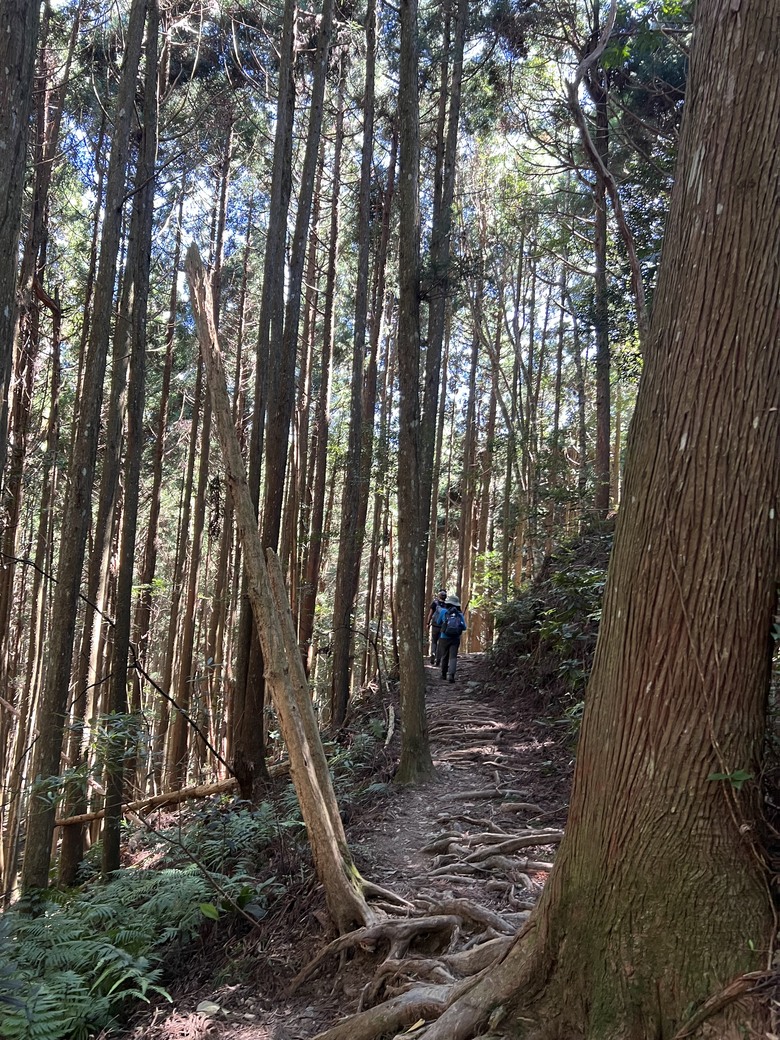 有點累又不會太累的高島縱走