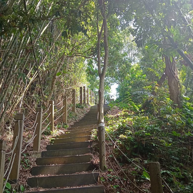 潭子新田登山步道能順便踩點旁邊的小百岳「聚興山」，生意盎然適合全家大小的綠色步道，帶你全部走一趟