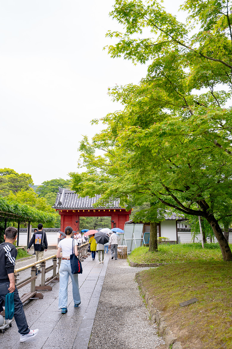 【關西】獨旅，京都古城篇(一)