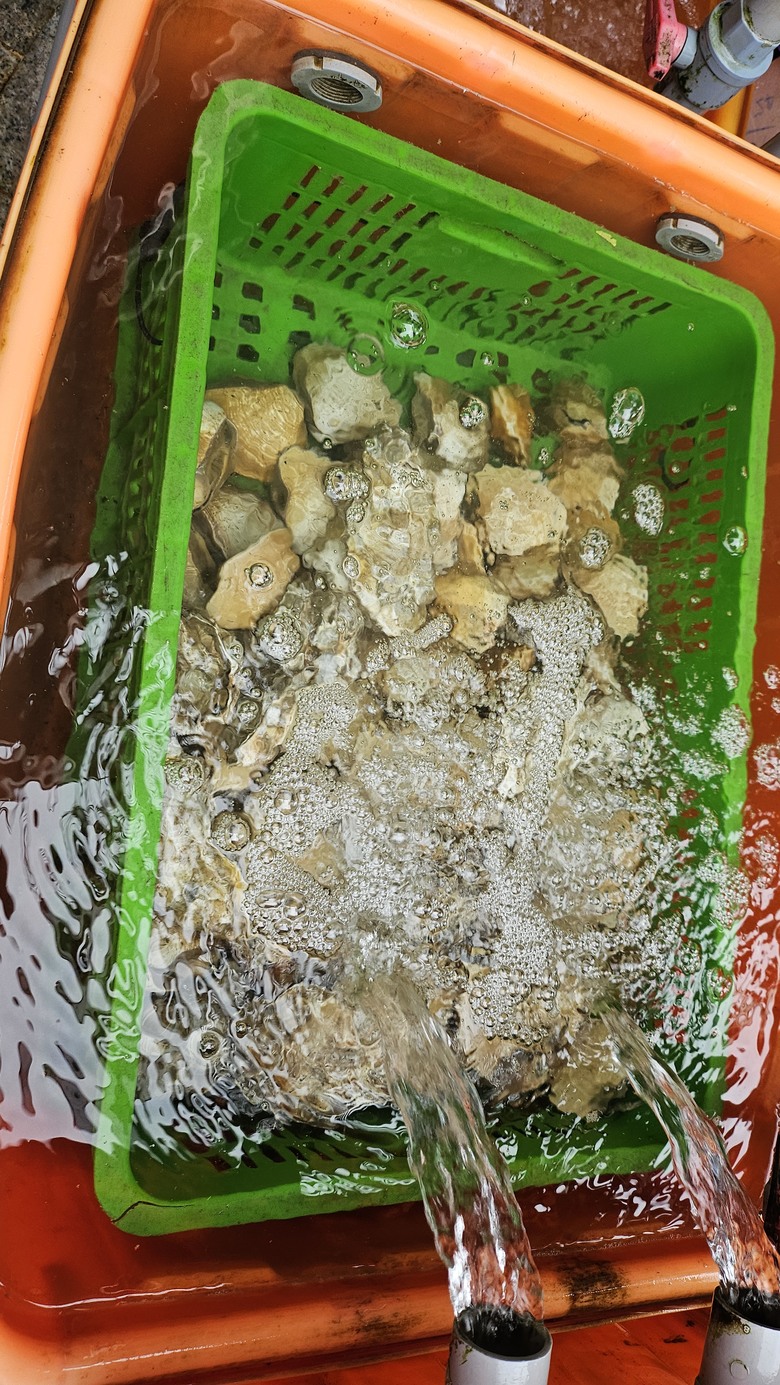 我們家的兩天一夜宜蘭行 - 宜蘭市農會超好買 / 羅東祥瑞渡小月餐廳 / 靜候Pizza / 綠舞國際觀光飯店 / 巧晏魚坊