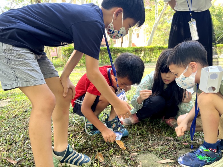 豐富兒子暑假的昆蟲夏令營!