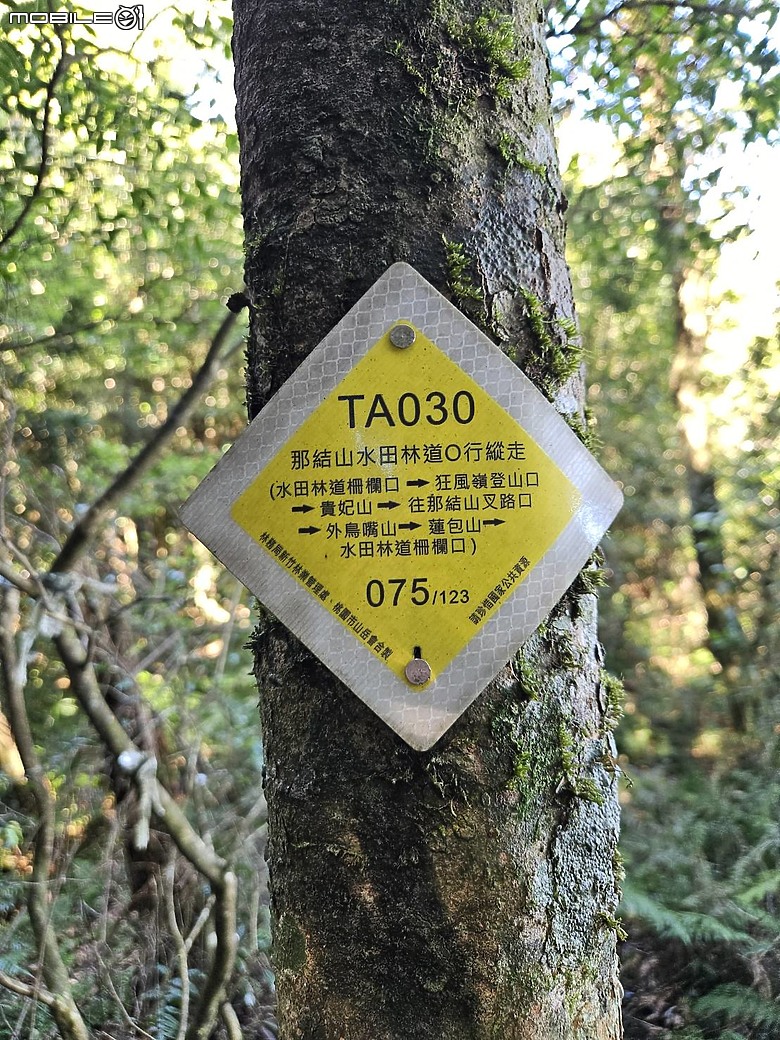 外鳥嘴+那結山O繞~山林溪水滿滿芬多精