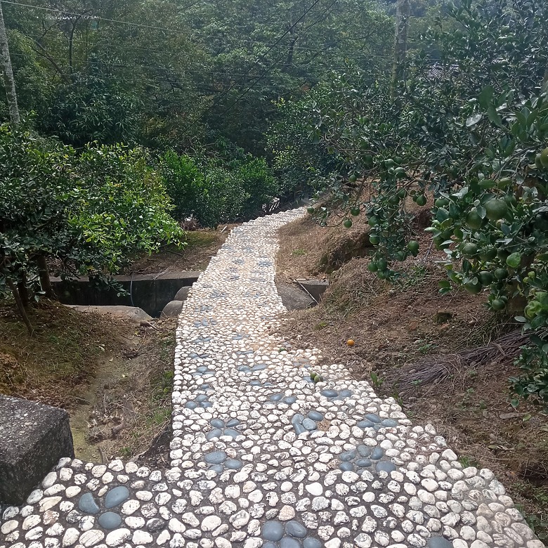 潭子新田登山步道能順便踩點旁邊的小百岳「聚興山」，生意盎然適合全家大小的綠色步道，帶你全部走一趟