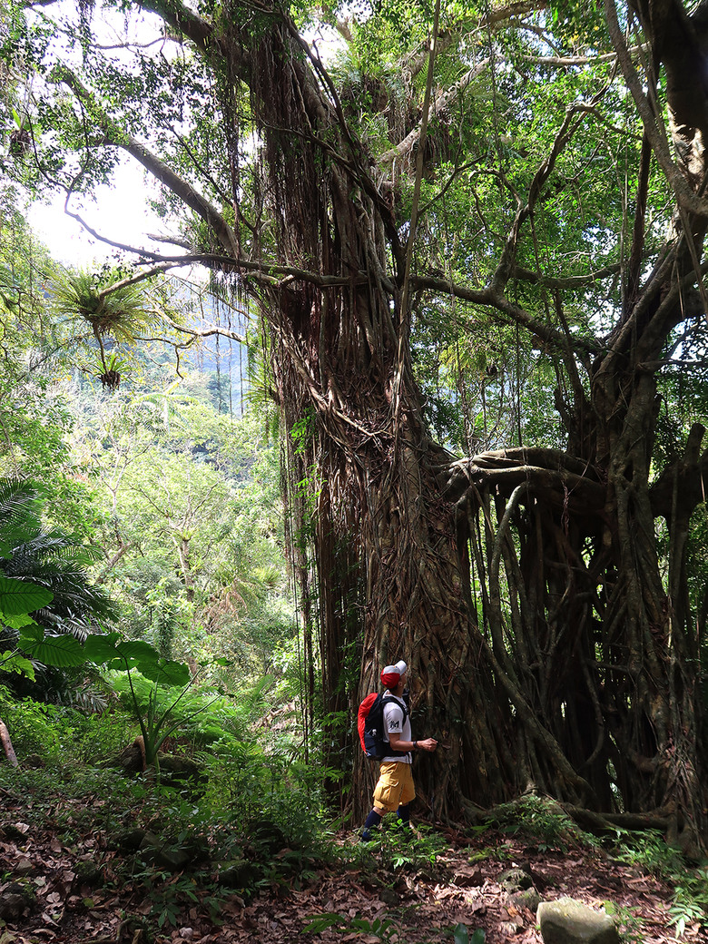點我看大圖 【八里灣山】花蓮大魔王小百岳