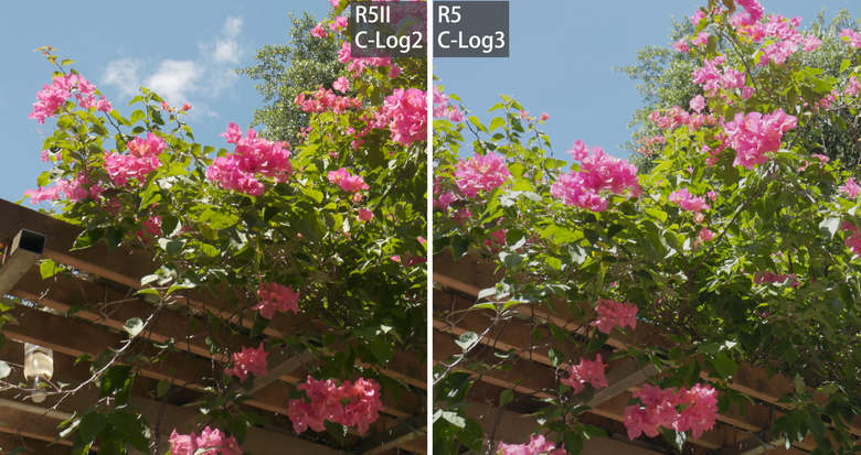 Canon R5 mark II vs. R5 提昇多少