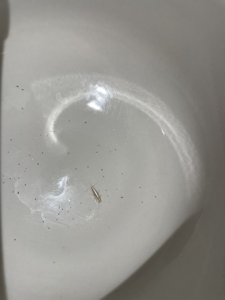 請教