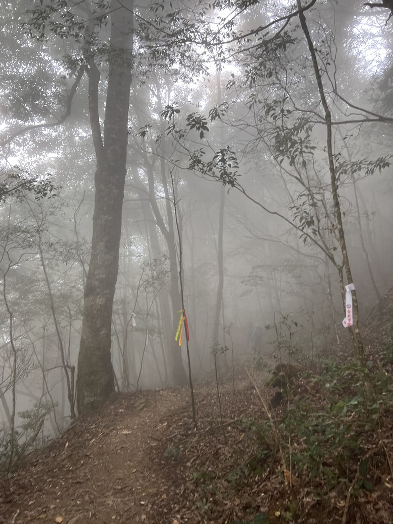 有點累又不會太累的高島縱走