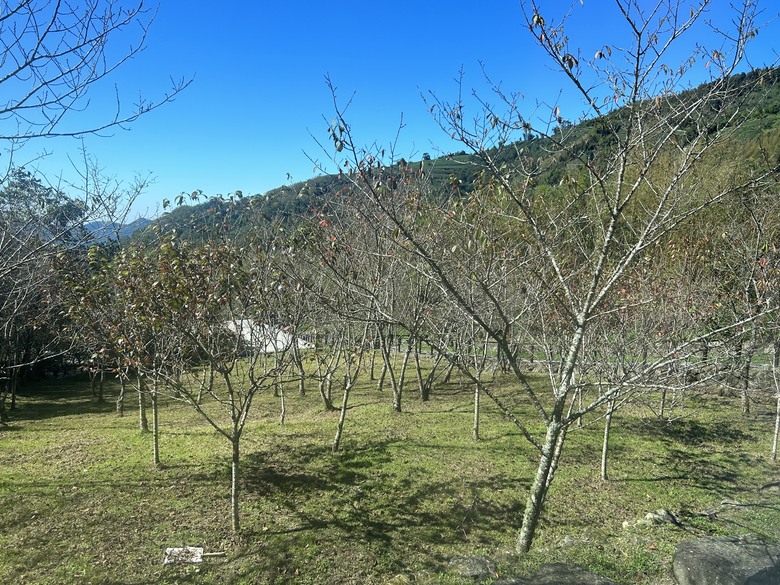 登麟趾山 朝聖台灣之巔玉山