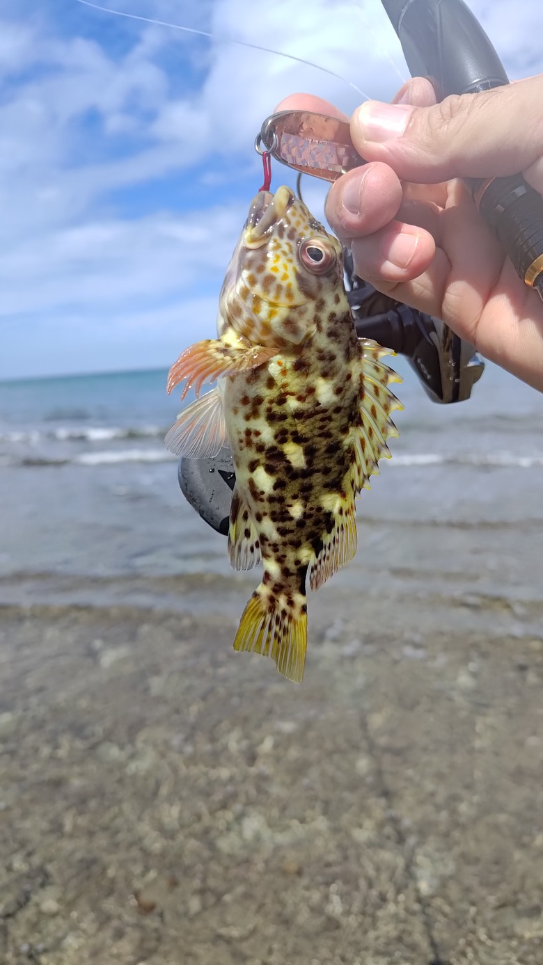 根釣小物