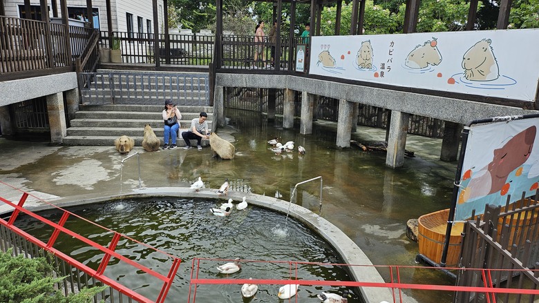 我們家的兩天一夜宜蘭行 - 宜蘭市農會超好買 / 羅東祥瑞渡小月餐廳 / 靜候Pizza / 綠舞國際觀光飯店 / 巧晏魚坊