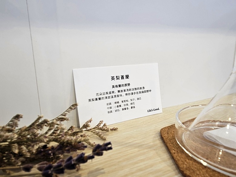 想要有潔淨香香的衣服嗎?《 第二代的LG Styler蒸氣電子衣櫥 體驗會 》心得分享