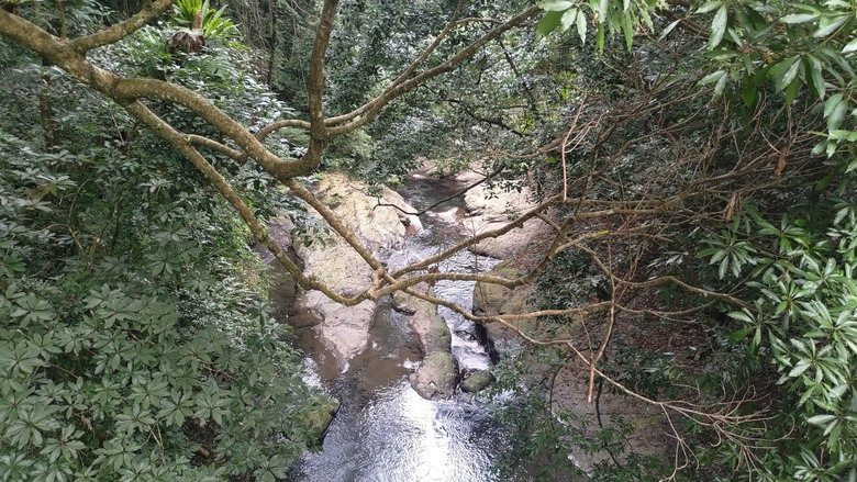 點我看大圖 【遊記】原來「烏來」是溫暖泉水的意思,小烏來風景特定區 - 大漠國渡