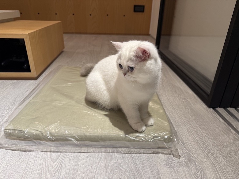 組裝簡單又好看! PETSFIT Modern Style Wood Cat House with Soft Mat 貓屋開箱