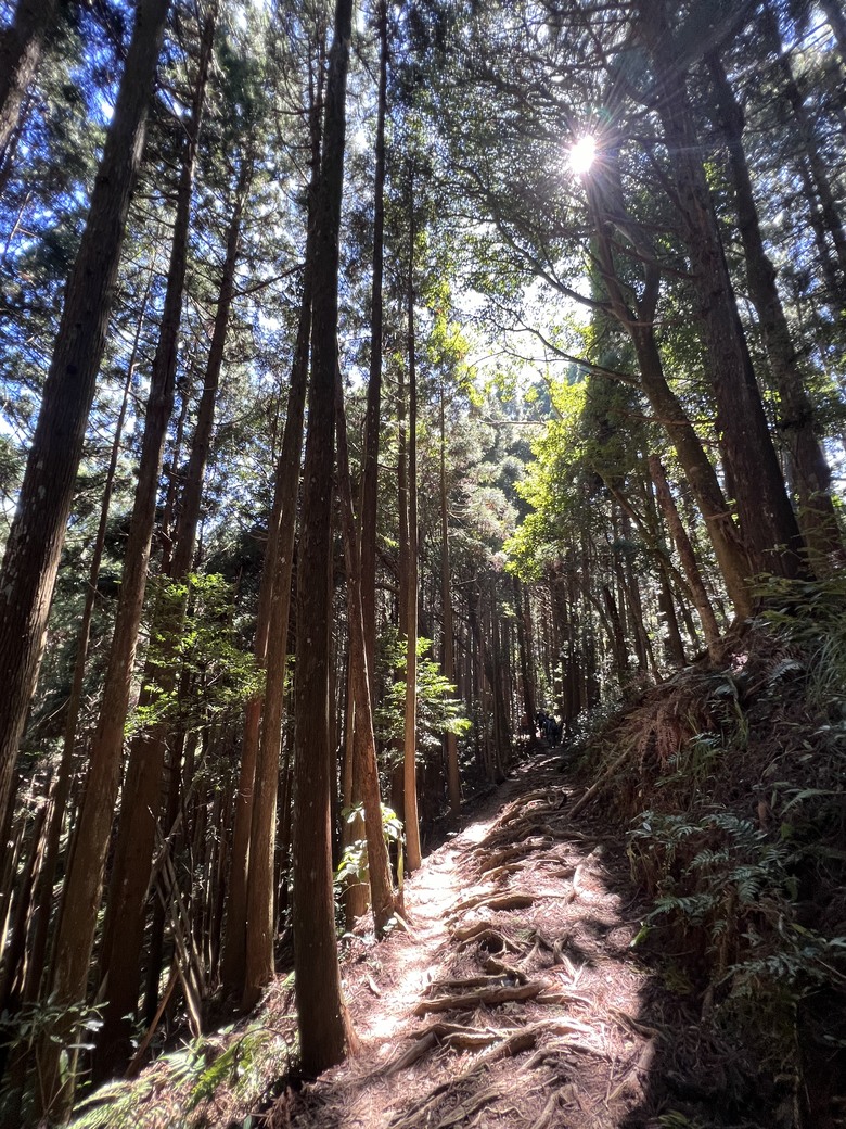 有點累又不會太累的高島縱走