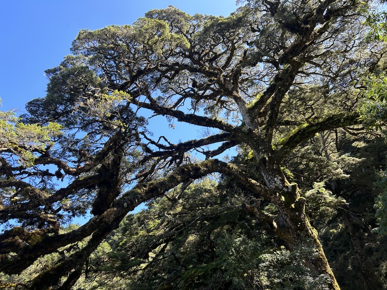 登麟趾山 朝聖台灣之巔玉山
