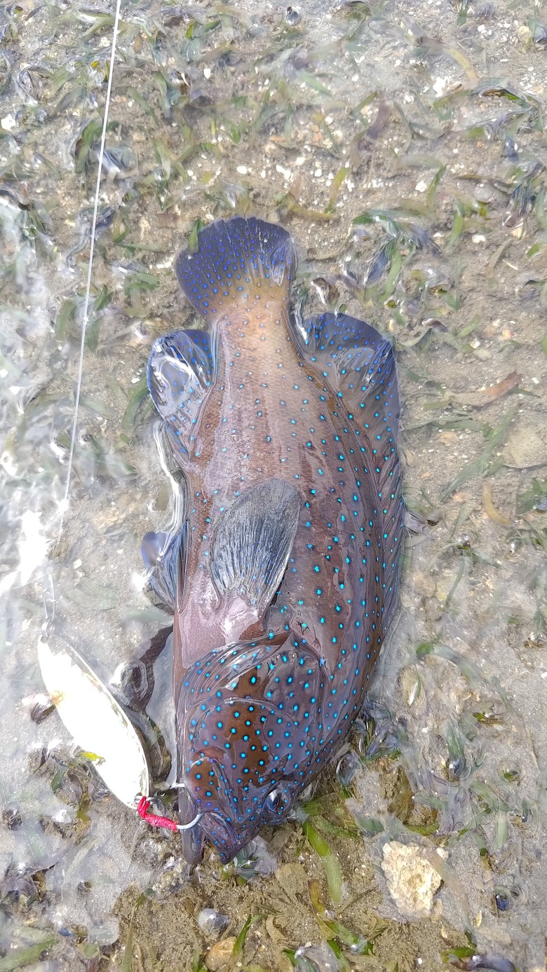 根釣小物