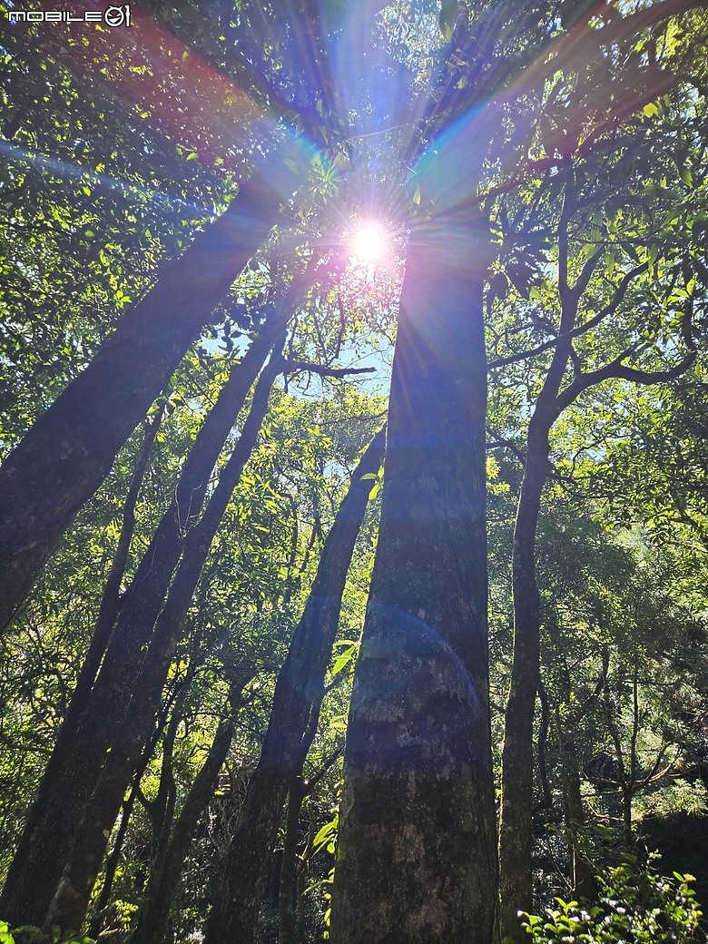 外鳥嘴+那結山O繞~山林溪水滿滿芬多精