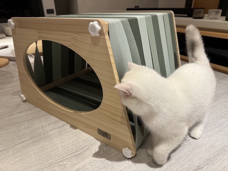 組裝簡單又好看! PETSFIT Modern Style Wood Cat House with Soft Mat 貓屋開箱