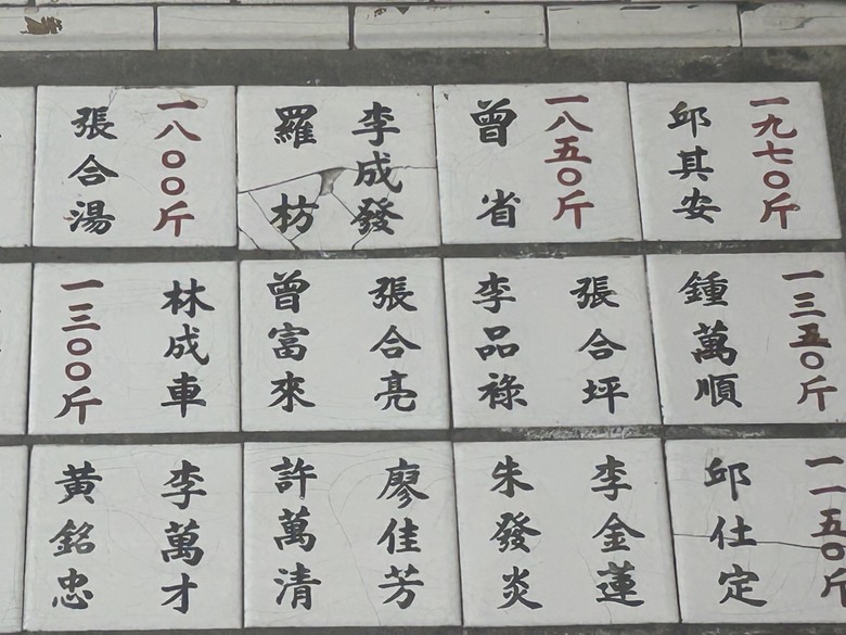 騎遊海線大站「來通霄、玩通宵」