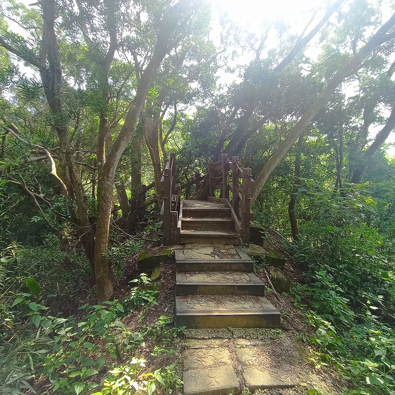 潭子新田登山步道能順便踩點旁邊的小百岳「聚興山」，生意盎然適合全家大小的綠色步道，帶你全部走一趟