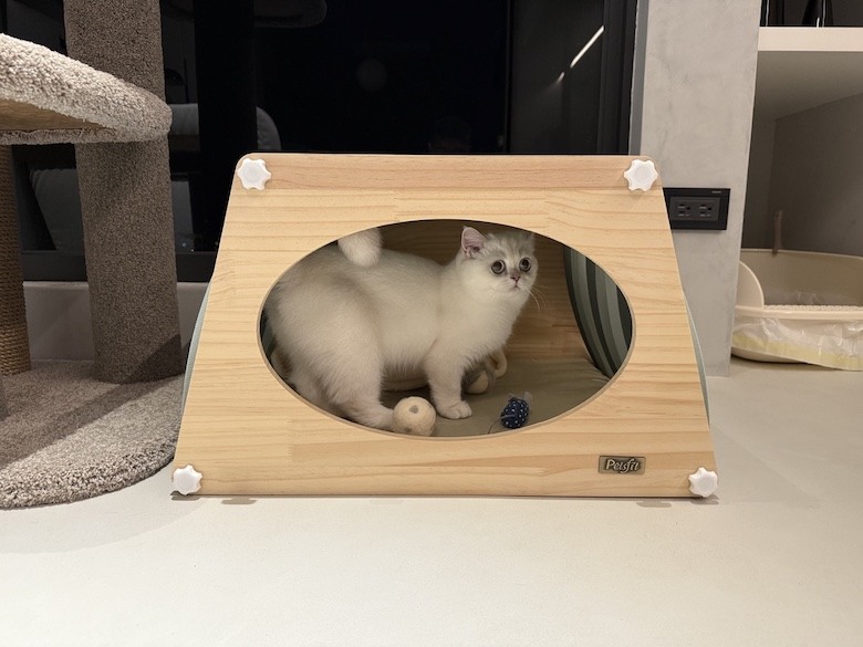 組裝簡單又好看! PETSFIT Modern Style Wood Cat House with Soft Mat 貓屋開箱