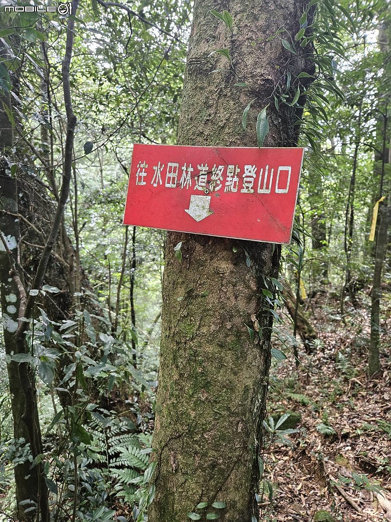 外鳥嘴+那結山O繞~山林溪水滿滿芬多精
