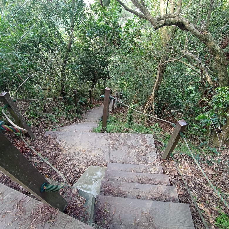 潭子新田登山步道能順便踩點旁邊的小百岳「聚興山」，生意盎然適合全家大小的綠色步道，帶你全部走一趟