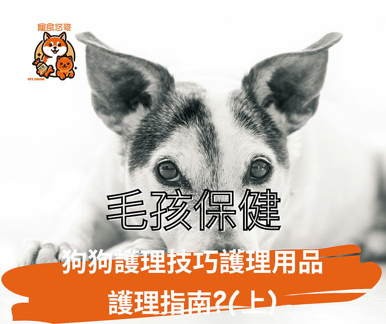 毛孩保健 狗狗護理技巧護理用品護理指南?