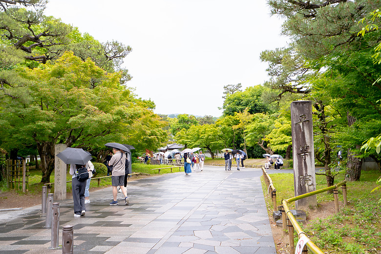 【關西】獨旅，京都古城篇(一)