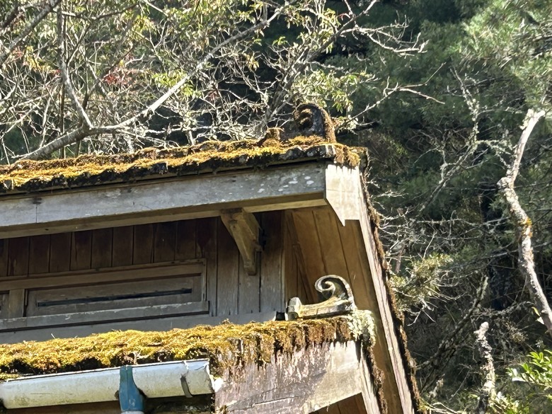 登麟趾山 朝聖台灣之巔玉山