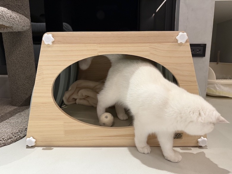 組裝簡單又好看! PETSFIT Modern Style Wood Cat House with Soft Mat 貓屋開箱