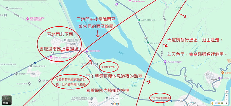 10月10日國慶日三地門堤防道上拍檳榔樹版灰面鵟鷹