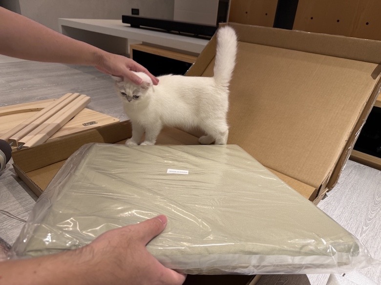 組裝簡單又好看! PETSFIT Modern Style Wood Cat House with Soft Mat 貓屋開箱
