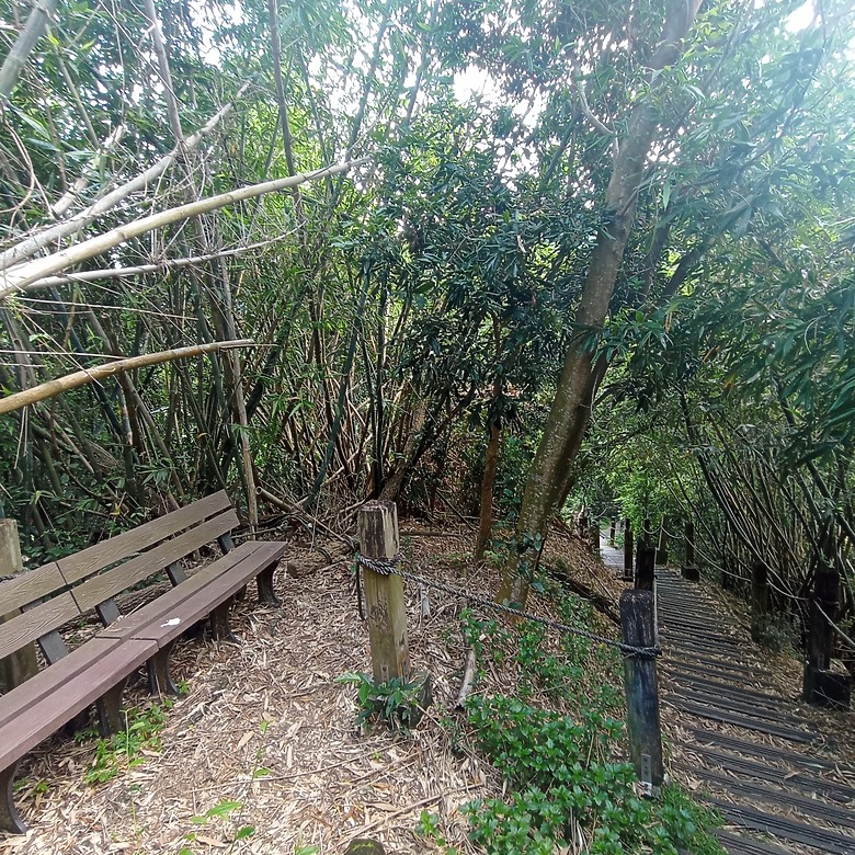 潭子新田登山步道能順便踩點旁邊的小百岳「聚興山」，生意盎然適合全家大小的綠色步道，帶你全部走一趟